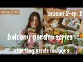  starting seeds indoors  balcony vegetable garden  container gardening small spaces s2 part 1