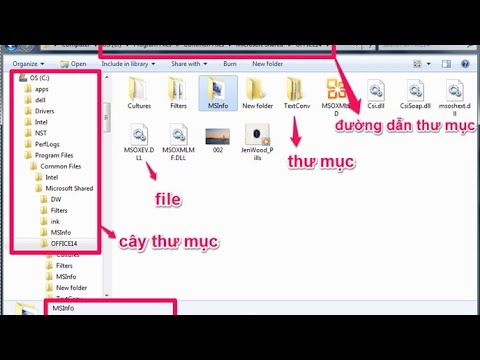 Tìm Hiểu Về Tập Tin và Thư Mục - youtube