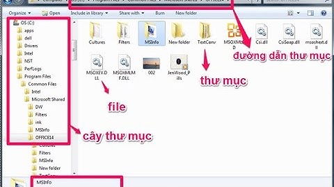 Tìm Hiểu Về Tập Tin và Thư Mục