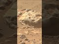 MARTE HOY / MARS TODAY: 1 FEBRERO 2024 #shorts #mars