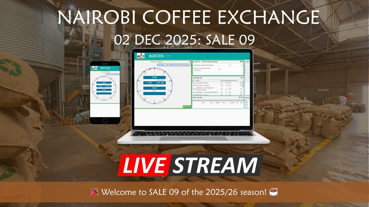 Sale 09 of season 25/26 Auction Livestream