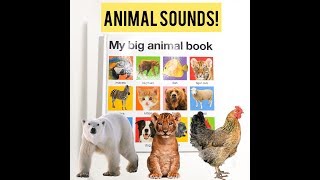 My Big Animal Board Book - Learning Animal names and Sounds for Kids
