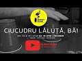 CIUCUDRU LĂLUȚĂ BĂ Meșterul Manele Muzică De Satiră și Cultură Urbană Pamflet Politic