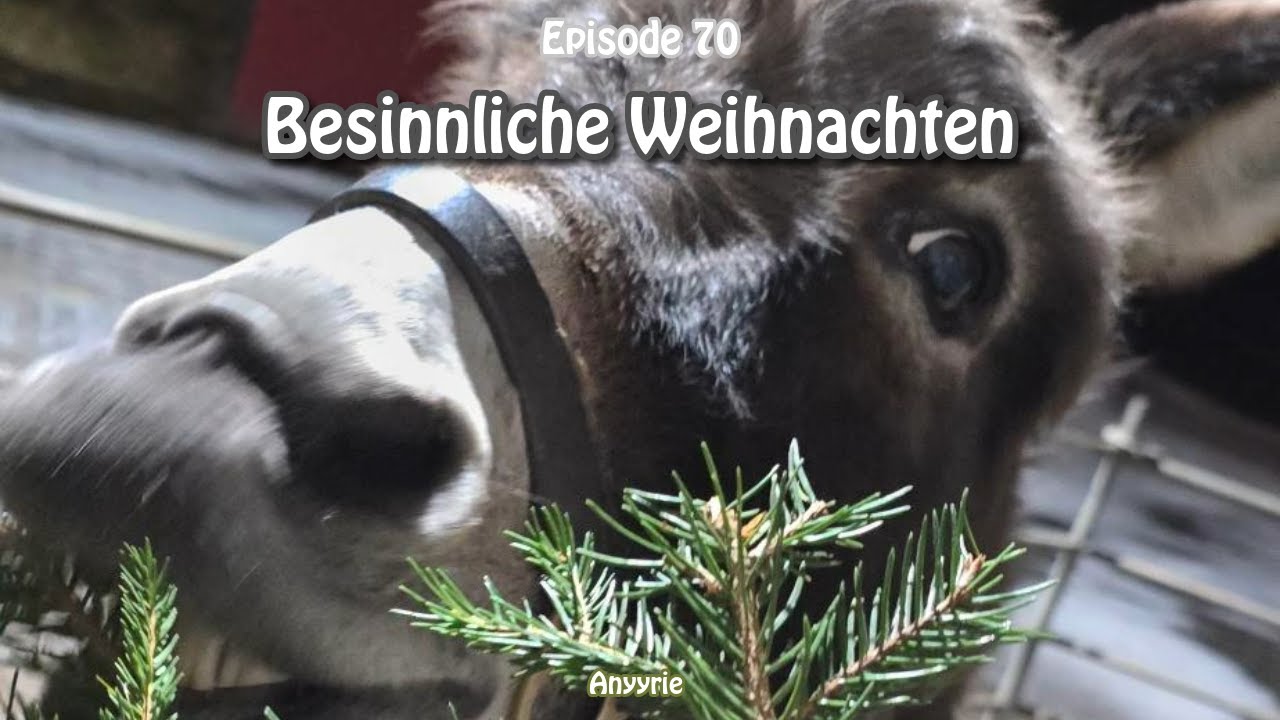 Besinnliche Weihnachten
