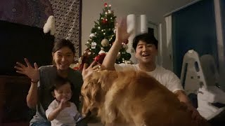 Our joyful Christmas at Home 2020 by Jinny&Bori 46,992 views 3 years ago 6 minutes, 1 second