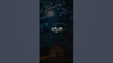 اكتب شيء تؤجر عليه 😴🤍 / القارئ ياسر الدوسري