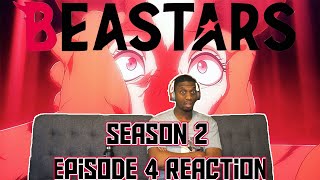 (SE2:Ep.4) The Killer Finally Strikes!! | BEASTARS Season 2 Episode 4 Reaction | (SE2:Ep.4) The Killer Finally Strikes!! | BEASTARS Season 2 Episode 4 Reaction |