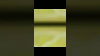 Charizard Vs Lucario Battel