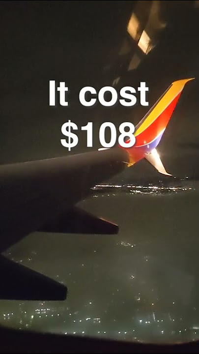 Amtrak vs Plane. What is better?