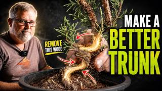 Juniper Inside Curves, Tiny Turns Twinkle When You Do This!
