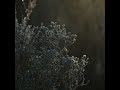 Hope Hideyuki Hashimoto Official Audio 