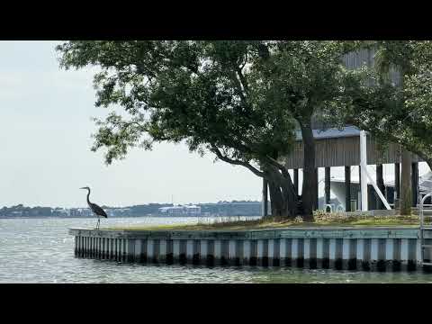 Orange Beach Alabama