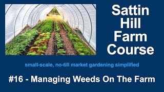 Sattin Hill Farm Course #16 - Managing Weeds On The Farm