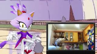 Möbius 1984: Blaze The Cat Reacts To Funny Cats Jump Fails (Try Not To Laugh Challenge)