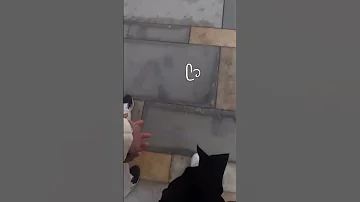 التمحتك تمشي وطايف 