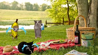Happy cat ruined a picnic photo