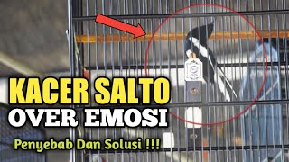 CAUSES AND SOLUTIONS!!! KACER SALTO OVER EMOTION