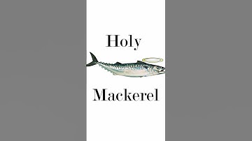 Holy Mackerel!