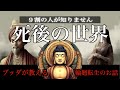 9割が知らない死後の世界と輪廻転生の話 ブッダの教え 9割が知らない死後の世界と輪廻転生の話 ブッダの教え