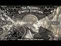 You Are 3 Seconds Away From the Frequency That Rewrites Your Entire Reality — It Chose You