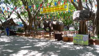 Sampran Crocodile farm and Elephant theme Show 1.m