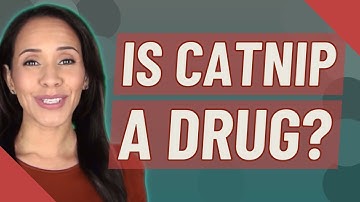 Is catnip a drug?