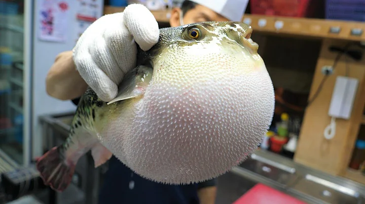 Amazing Skills of Blowfish Toxic Cleaning and Fried Blowfish - Korean Food [ASMR] - DayDayNews