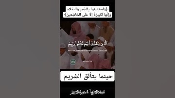 التلاوة المطلوبة سورة البقرة بترتيل خيالي من صلاة القياماروع التلاوات للمشيخ سعود الشرمسعود#اكسبلور