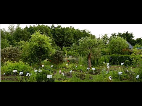 Video: Küchenkräutergärten – Wie man einen essbaren Kräutergarten anlegt