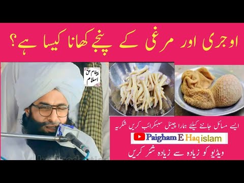 Ojhri aur murgi ke panje khana kaisa hai Mufti Fazal Ahmad Chishti New Bayanfazal ahmad chishti