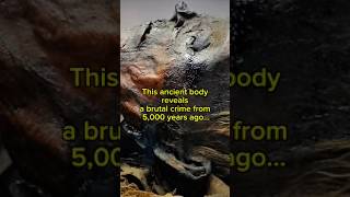 His hair looks alive… #history #archaeology #aspasia