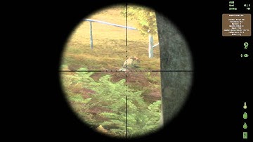 dayz killed sniper and spotter