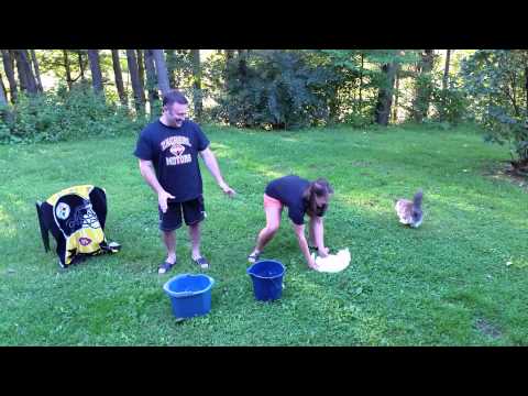 Zacherl Motors ice bucket challenge