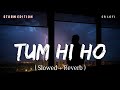 Tum Hi Ho (Slowed   Reverb) | Arijit Singh | Storm Edition | Aashiqui 2 | SR Lofi