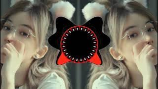 Arabic Song 2025 || Arabic Remix Song || DJ BASS BOOSTED Slowed & Reverb || Arabic  Song