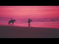 Mon Amour Music موسيقى مون امور 