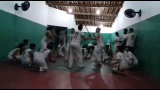 Ensaio de maculele(1)