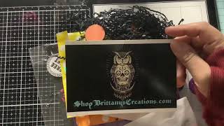 Small Business haul @Brittanyscreationsllc19