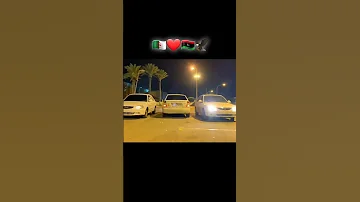 فيرنا ليبيا 