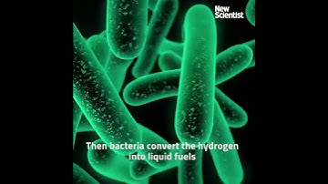 How copying photosynthesis can change society