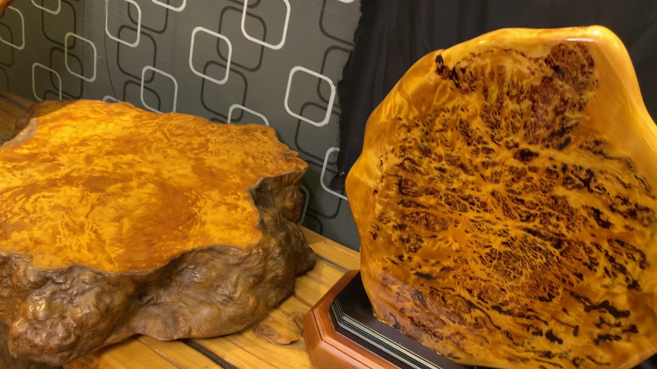 NO85 一鳳 二豆 三釘 好難得齊聚一堂