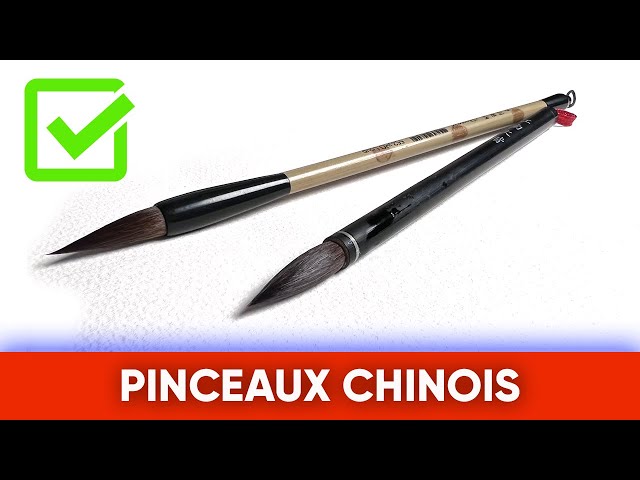 2 Pinceaux De Calligraphie Chinoise Professionnels – Poils Fins Pour Peinture Aquarelle Et écriture Traditionnelle - 11