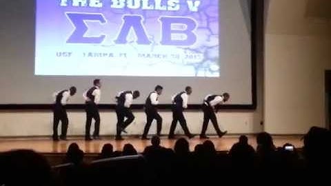 SOTB5 R1 Sigma Lambda Beta