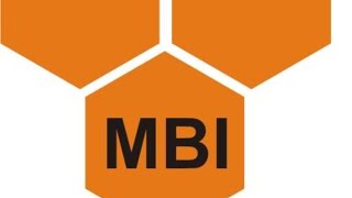 Money Bee Institute Pvt. Ltd Live Stream