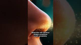 Your Nose Is Doing Quantum Tunneling to Smell Reality #Shorts