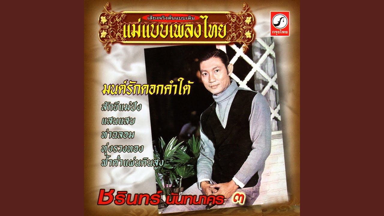 ปกเพลง ดาวคลี่ — CHARIN NANTHANAKORN