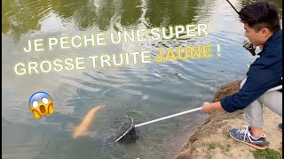 PÊCHE de la TRUITE à la PÂTE