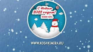 С Новым 2022 Годом!