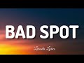 Jaden Hamilton - Bad Spot (Lyrics)