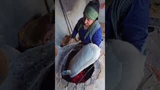 Naxçıvan Lavaşının Ətrini Də, Dadını Da Heç Yerdə Tapa Bilməzsiniz, Təkcə Naxçıvandan Başqa